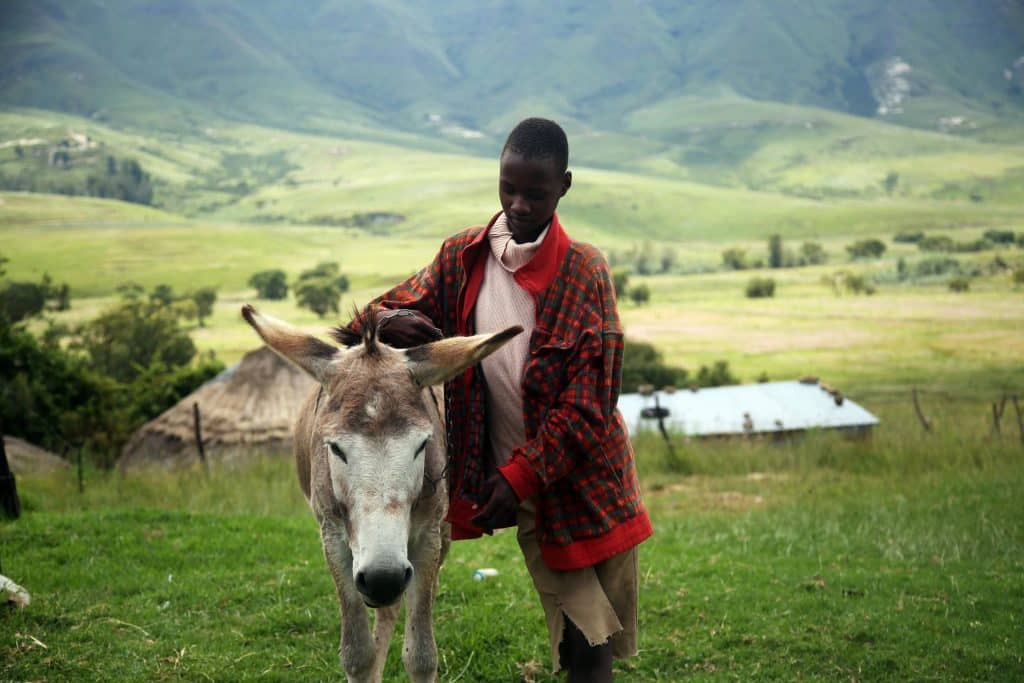 Meet the local people of Lesotho on a horseback trek