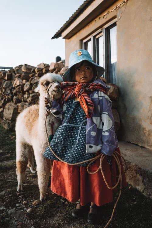 Young Peruvian child with her Alpaca. 