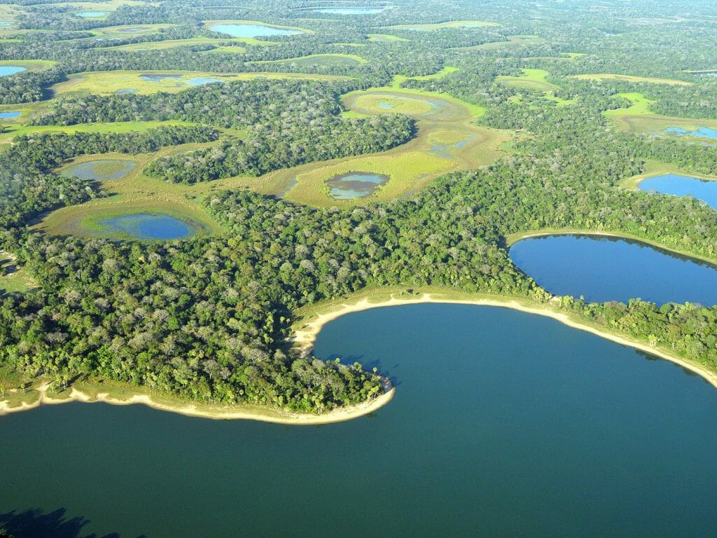 see jaguars Caiman Ecological Reserve, southern Pantanal, Brazil