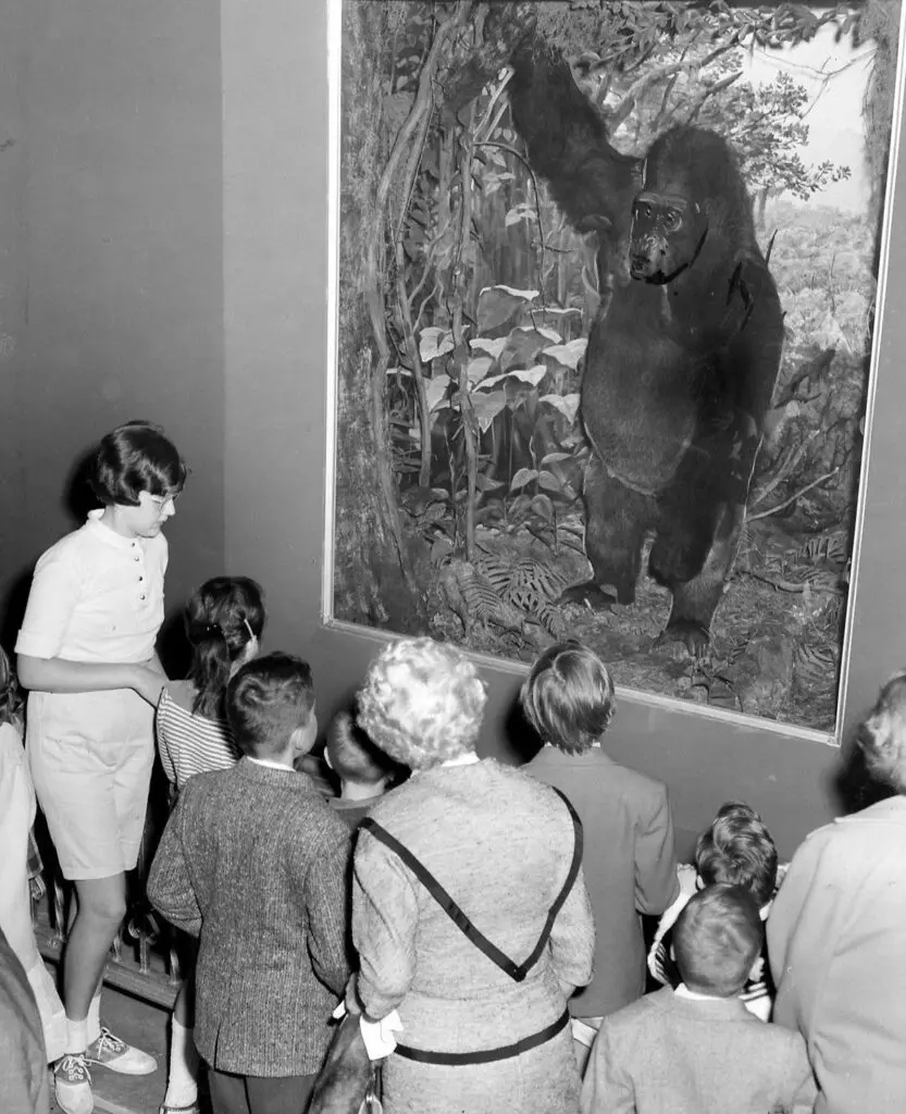 worlds largest gorilla ever recorded