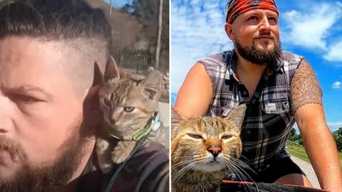 Guy Finds Stray Kitten Then Bikes Around The World With Her For Two Years 