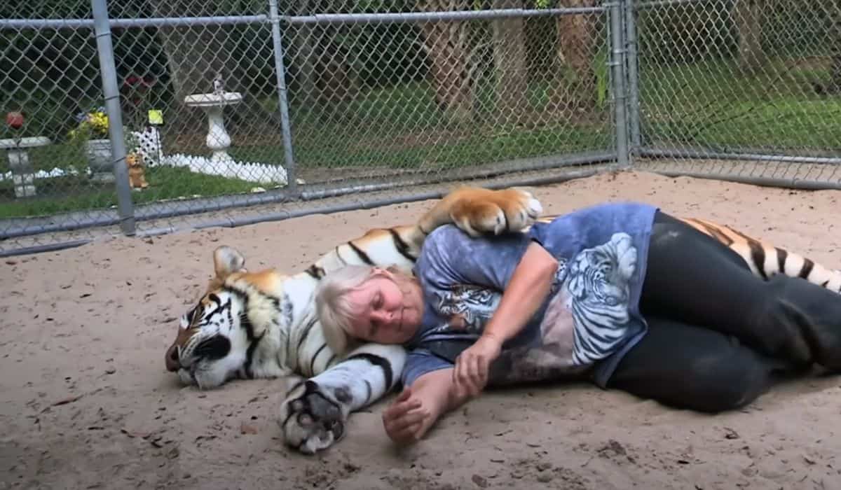 Florida woman keeps bengal tigers