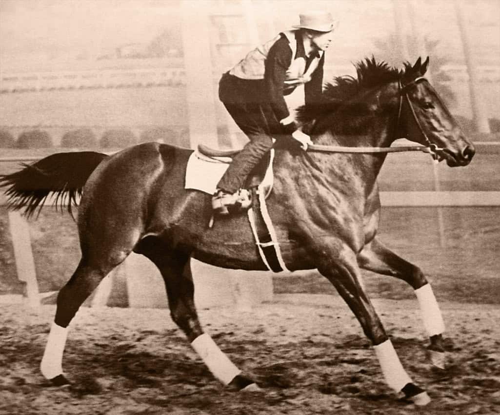 By Seabiscuit Heritage Foundation - Seabiscuit Heritage Foundation, Public Domain, https://commons.wikimedia.org/w/index.php?curid=4917564