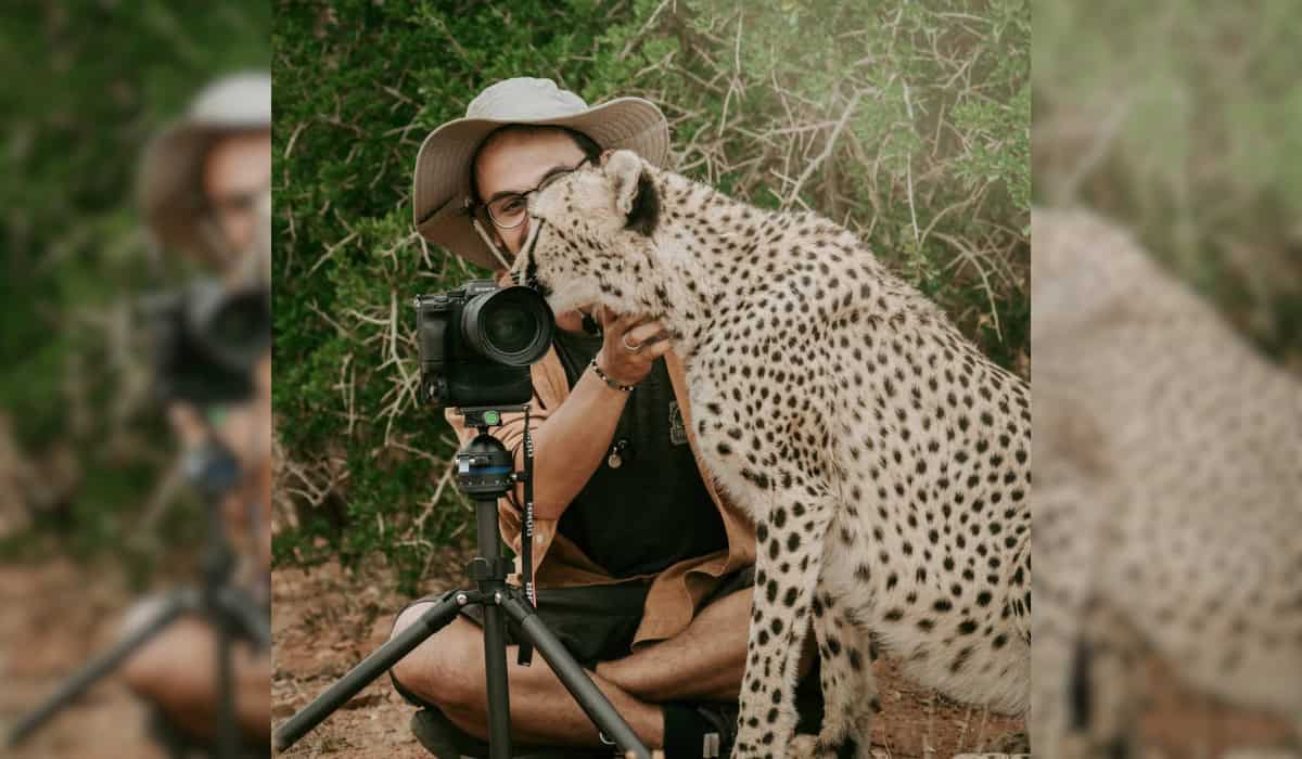 Cheetah Checking out the Camera