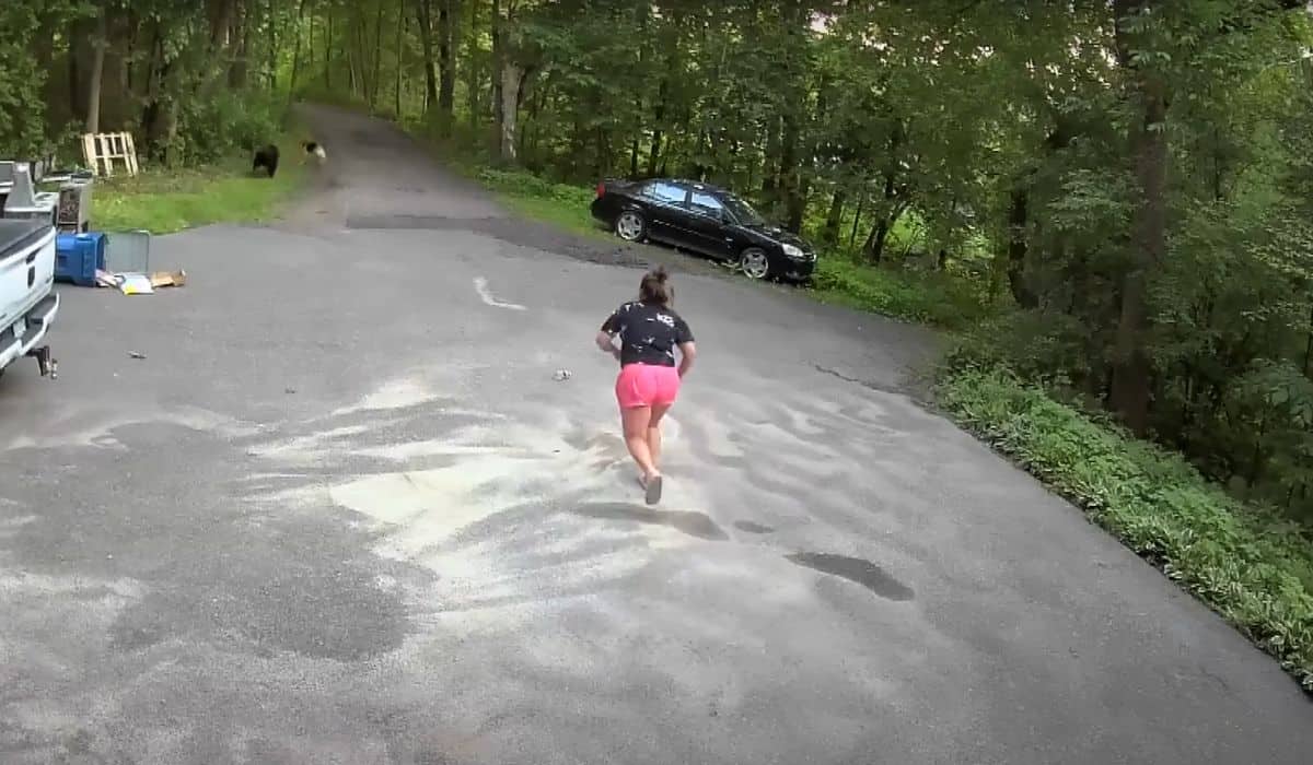woman chases bear down driveway 