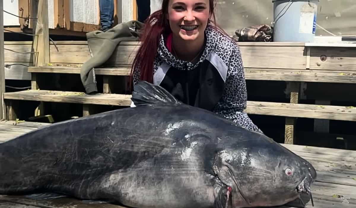 girl breaks record of biggest catfish 
