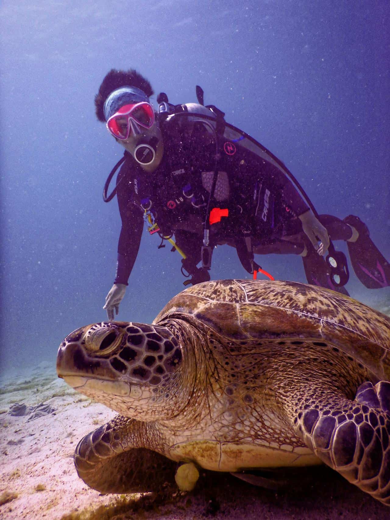 Diver with Sea Turtle.