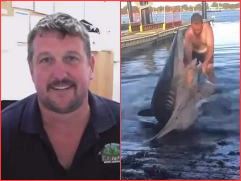 Tristan Turner -man who grappled with bronze whaler shark